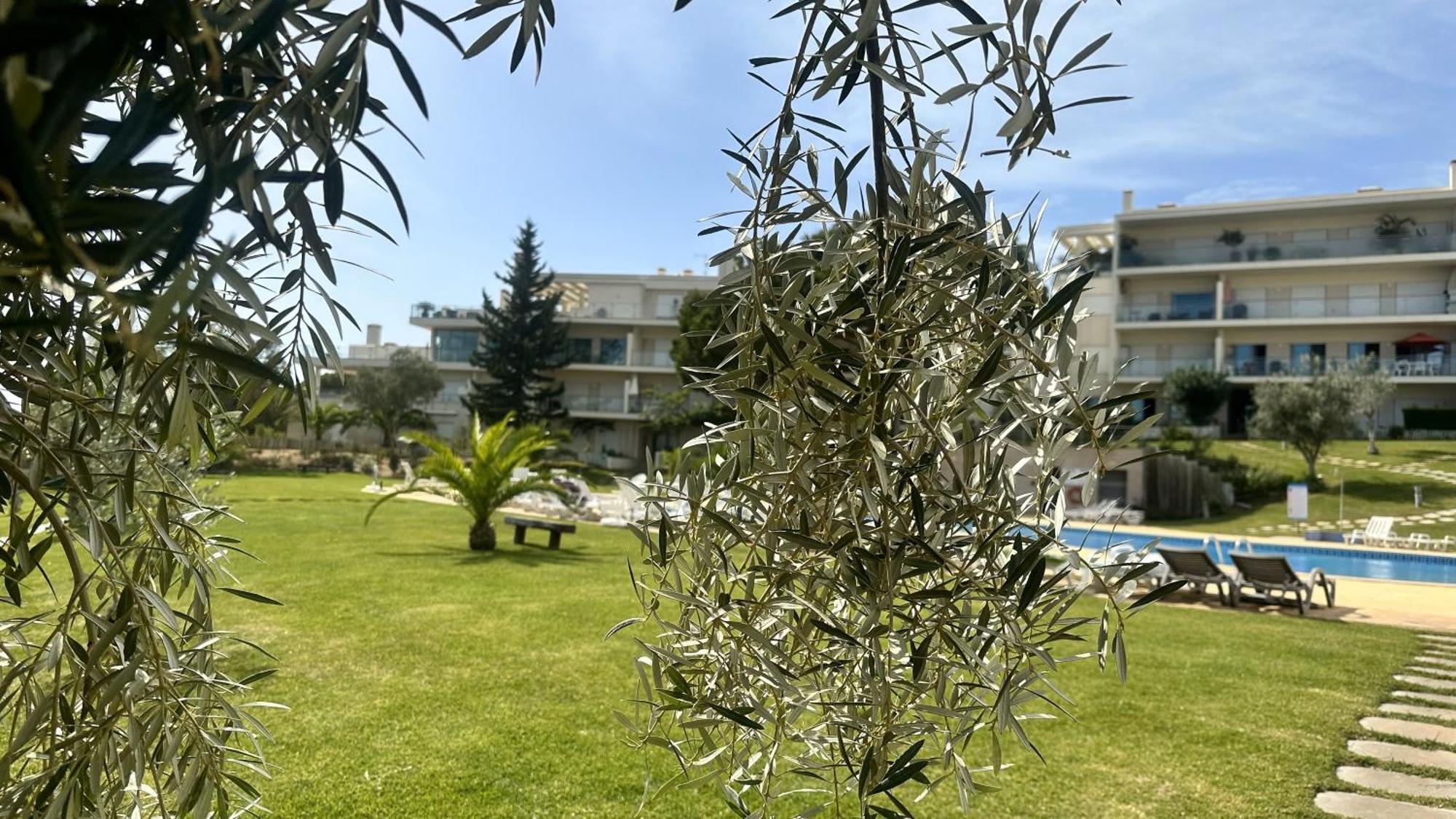 Charmant Appartement A 1Km De La Plage, Avec Piscine A Albufeira Exterior photo